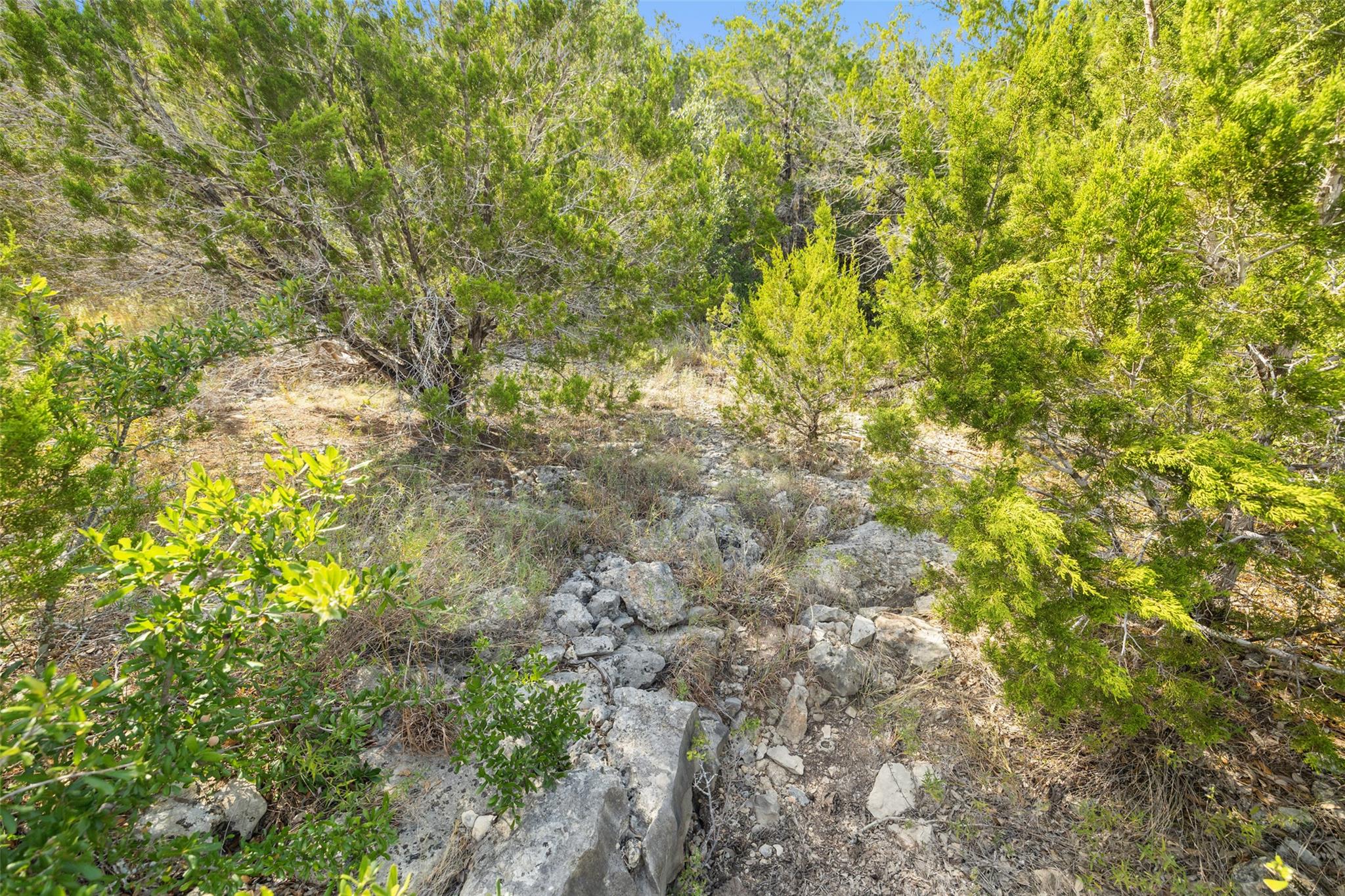 19718 Fig Bluff Lane Spicewood TX 78669