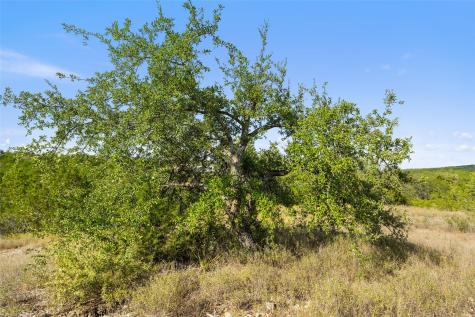 19718 Fig Bluff Lane Spicewood TX 78669