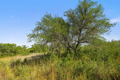 19718 Fig Bluff Lane Spicewood TX 78669