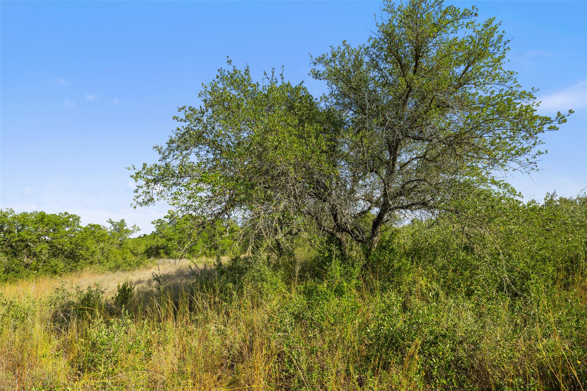 19718 Fig Bluff Lane Spicewood TX 78669