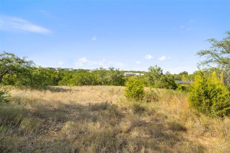 19718 Fig Bluff Lane Spicewood TX 78669