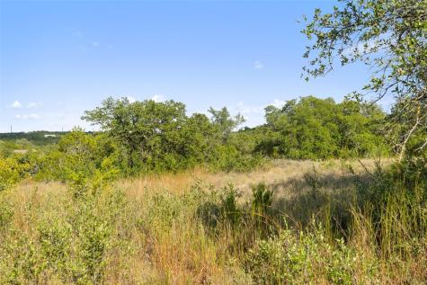 19718 Fig Bluff Lane Spicewood TX 78669