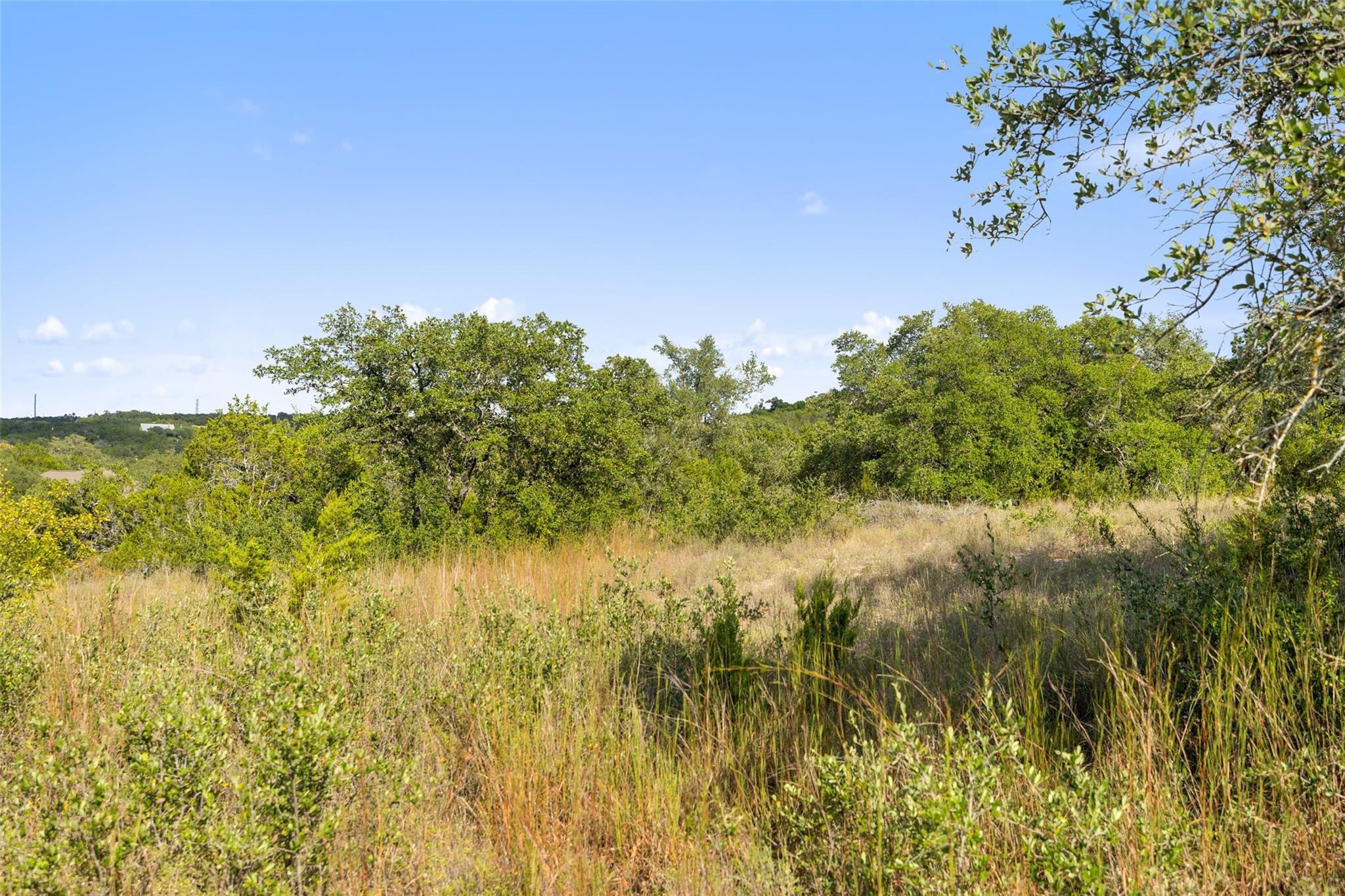 19718 Fig Bluff Lane Spicewood TX 78669