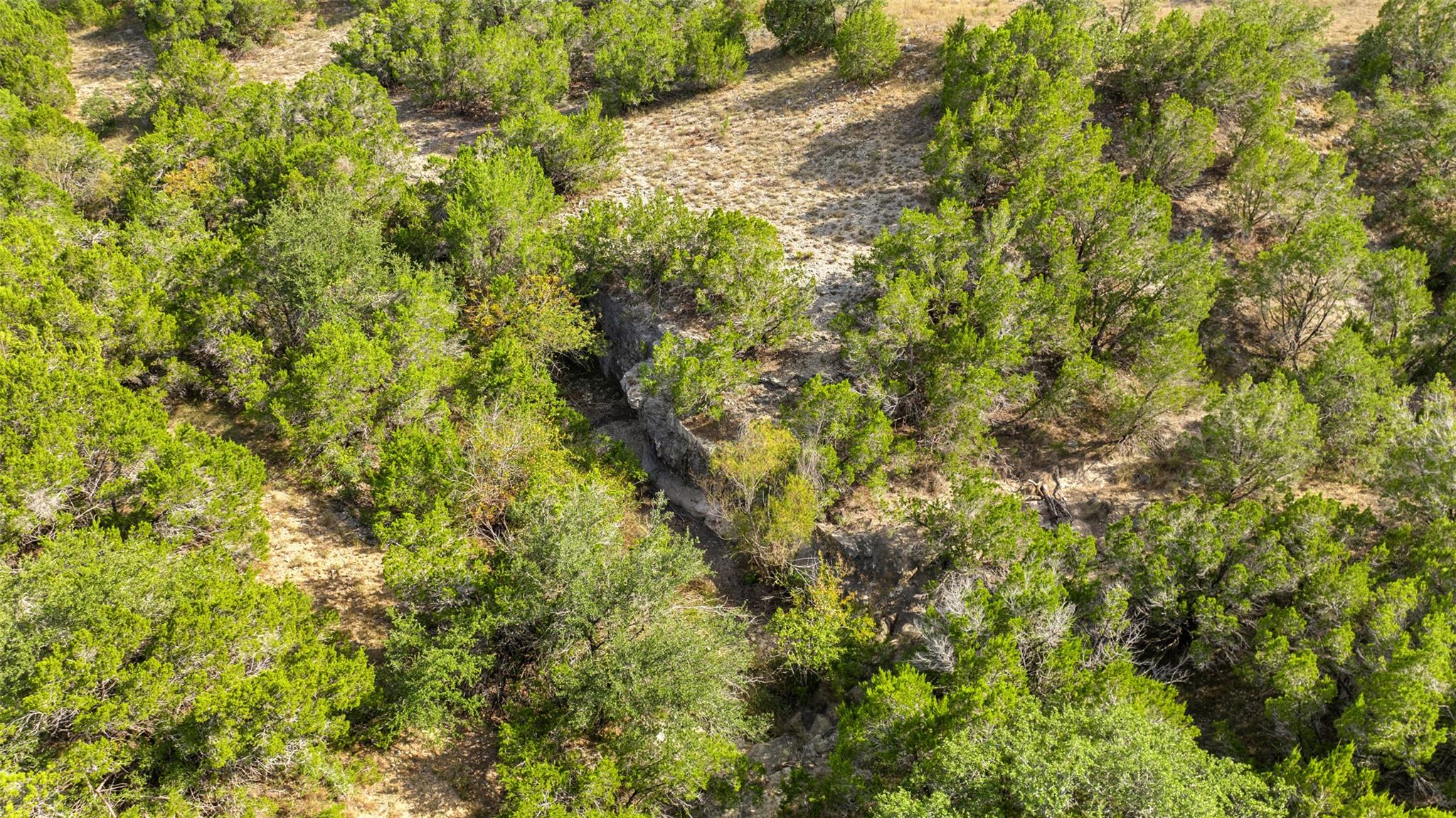 19718 Fig Bluff Lane Spicewood TX 78669