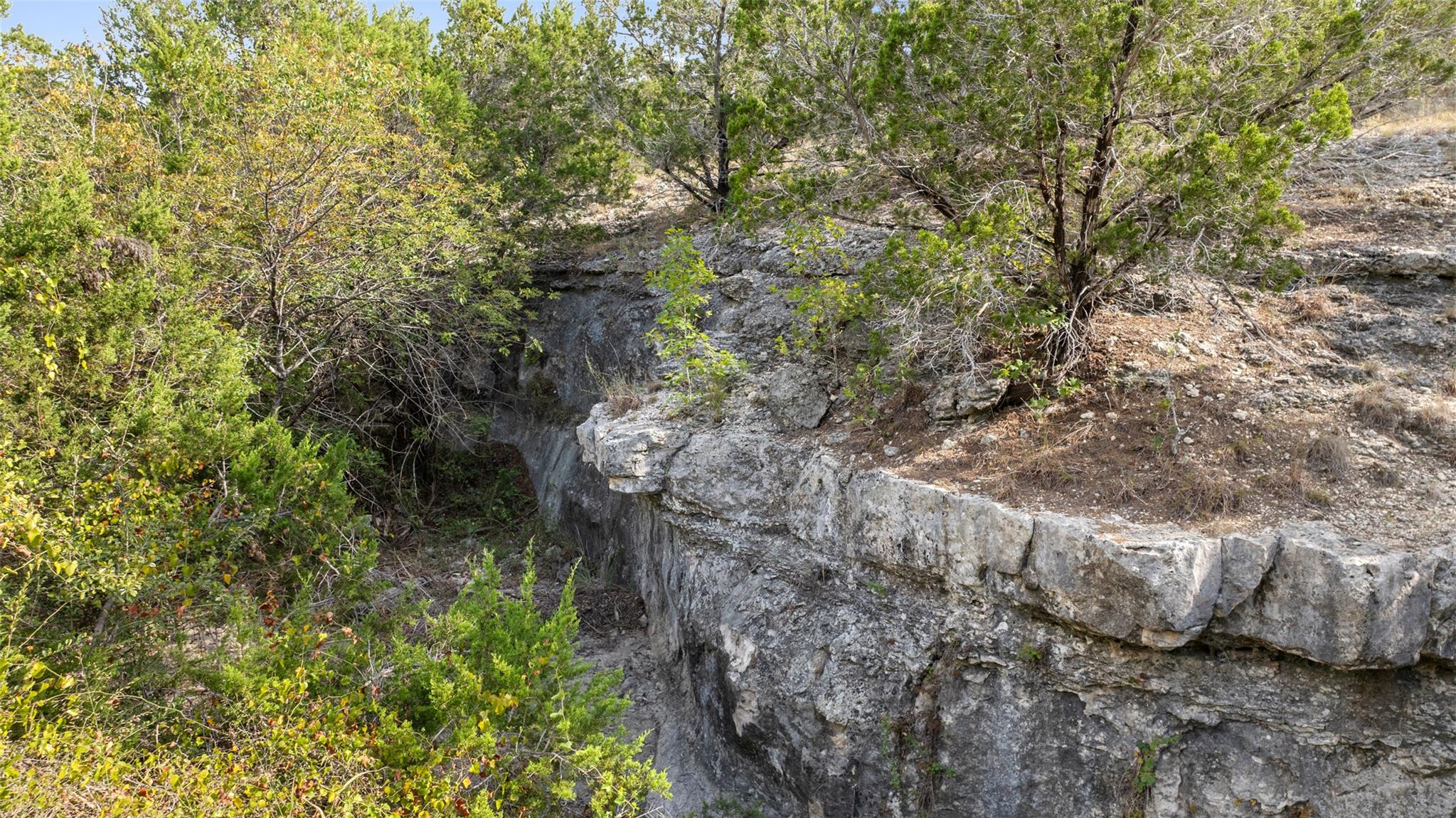 19718 Fig Bluff Lane Spicewood TX 78669