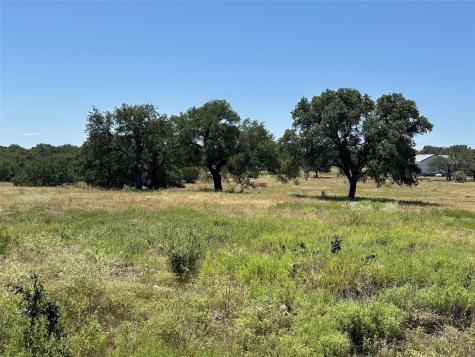 Lot 231 Winecup Drive Lampasas TX 76550