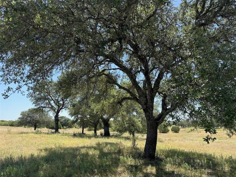 Lot 231 Winecup Drive Lampasas TX 76550