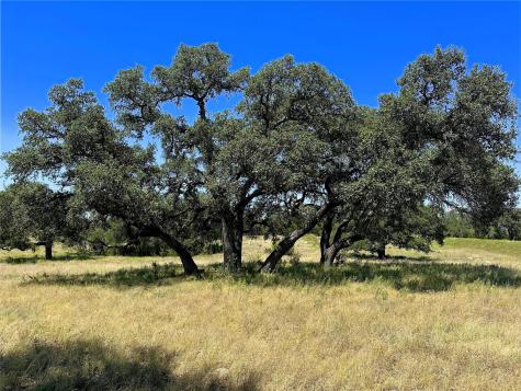 Lot 231 Winecup Drive Lampasas TX 76550