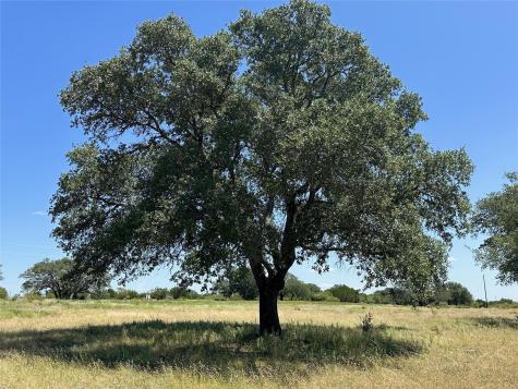 Lot 231 Winecup Drive Lampasas TX 76550