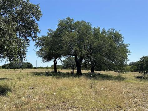 Lot 231 Winecup Drive Lampasas TX 76550