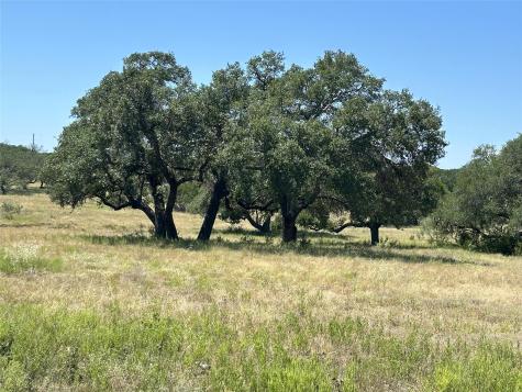 Lot 231 Winecup Drive Lampasas TX 76550