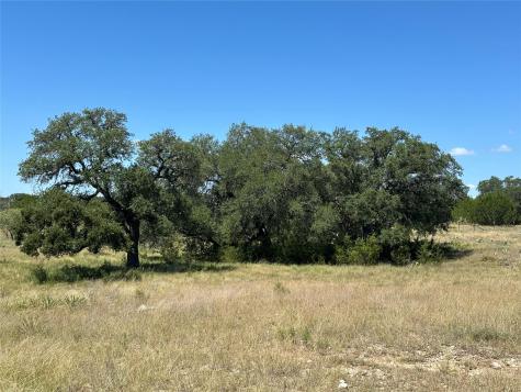 Lot 231 Winecup Drive Lampasas TX 76550