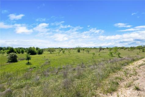 Tbd County Road 236 Liberty Hill TX 78605