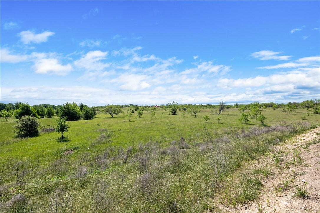 Tbd County Road 236 Liberty Hill TX 78605