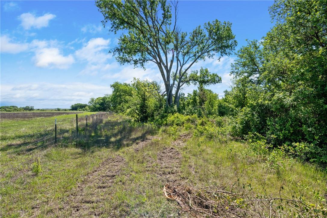 Tbd County Road 236 Liberty Hill TX 78605