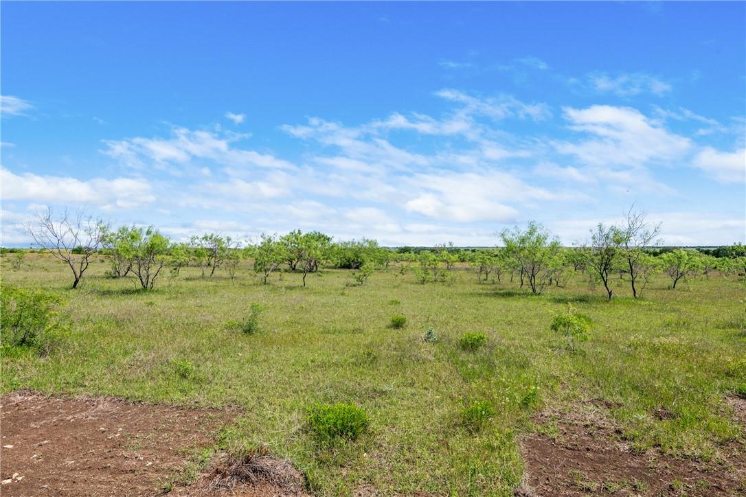Tbd County Road 236 Liberty Hill TX 78605