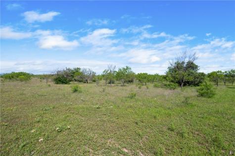 Tbd County Road 236 Liberty Hill TX 78605