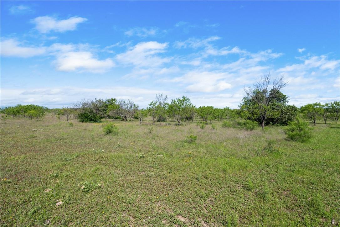 Tbd County Road 236 Liberty Hill TX 78605