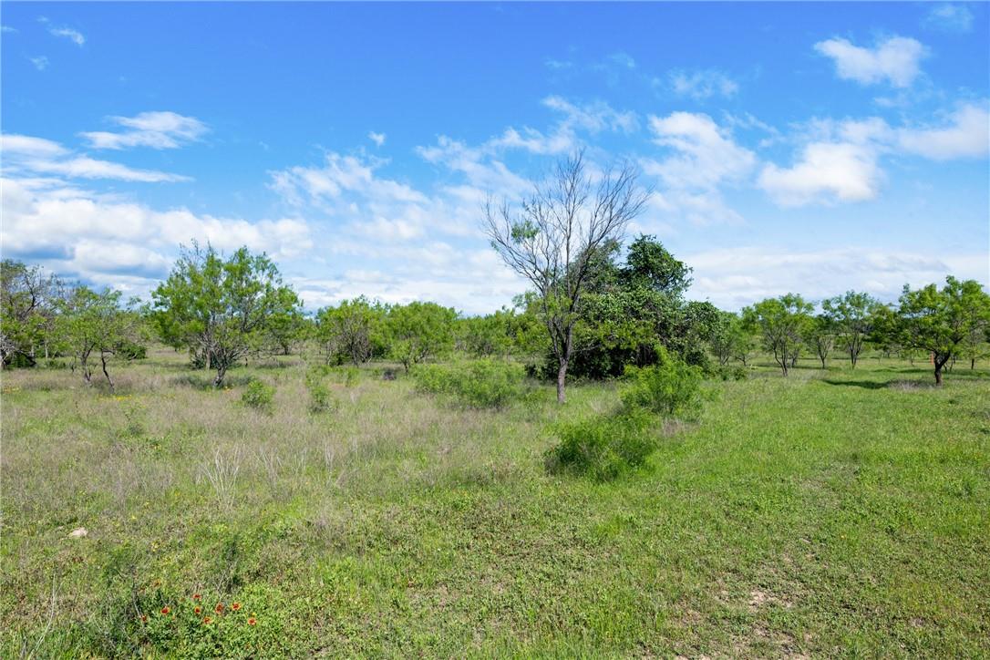 Tbd County Road 236 Liberty Hill TX 78605