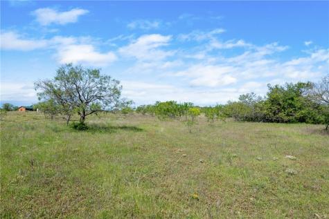 Tbd County Road 236 Liberty Hill TX 78605