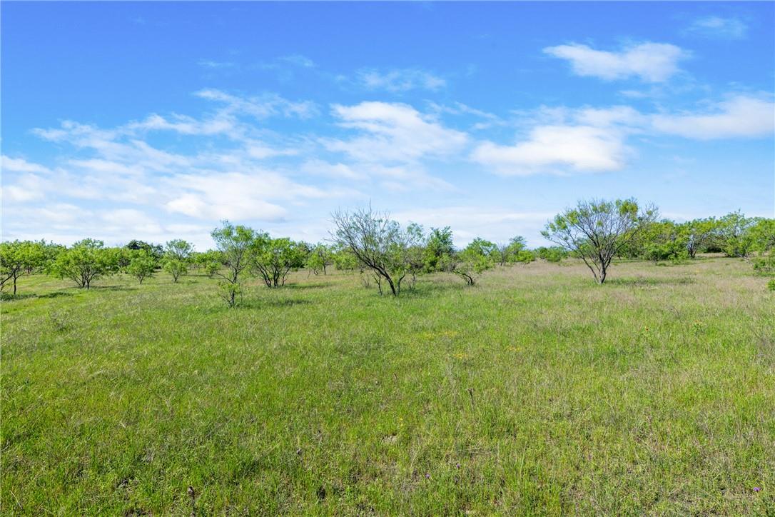 Tbd County Road 236 Liberty Hill TX 78605