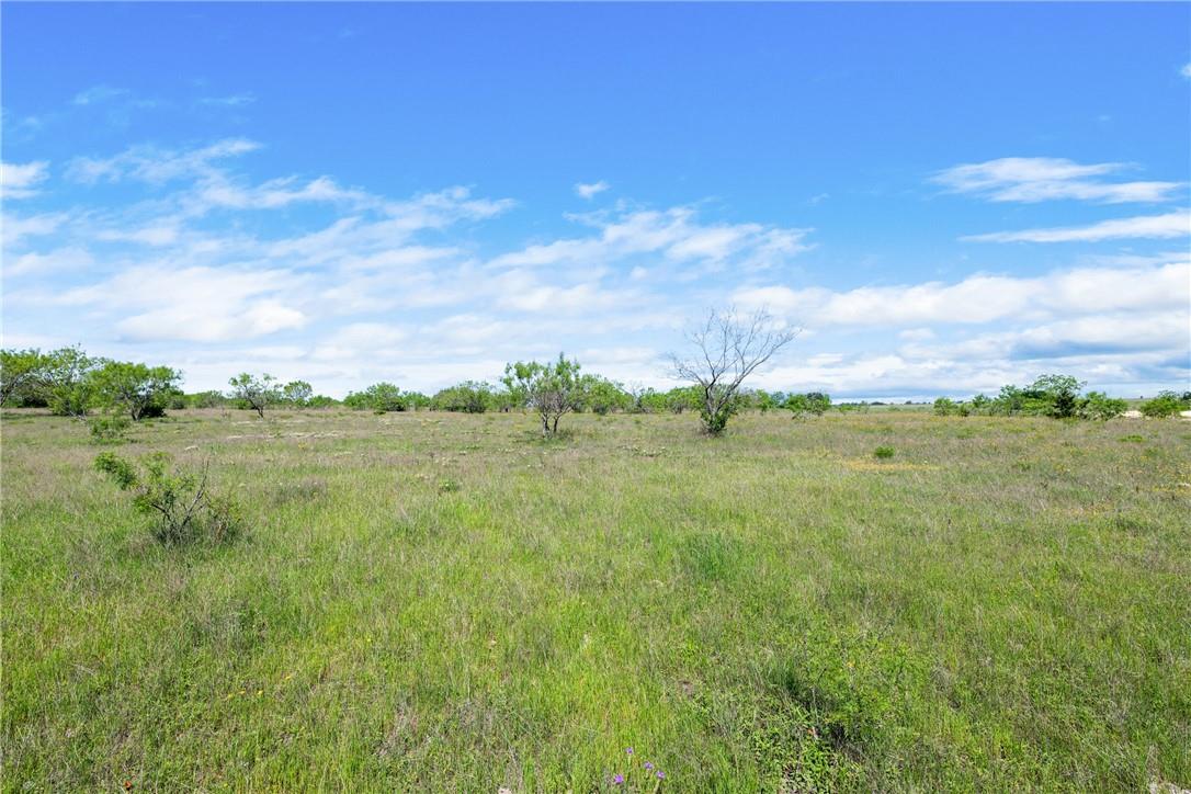 Tbd County Road 236 Liberty Hill TX 78605