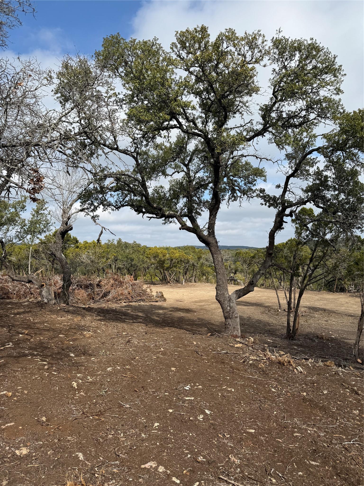 15 Acres Red Corral Ranch Road Wimberley TX 78676