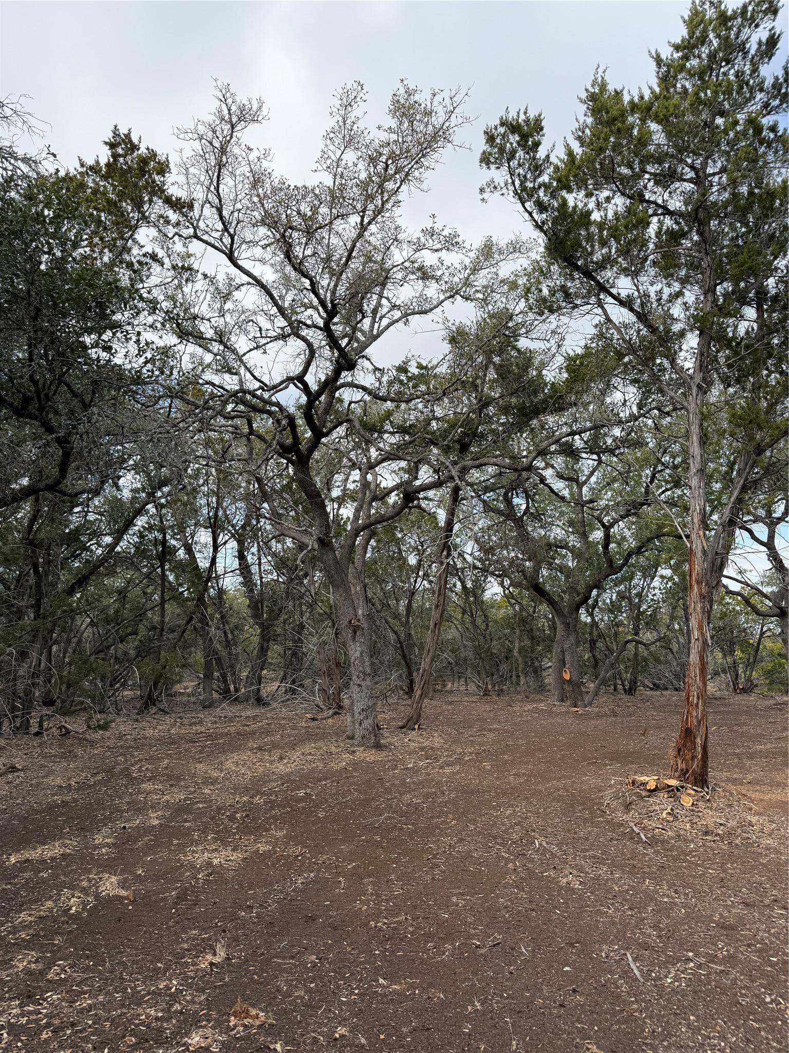 15 Acres Red Corral Ranch Road Wimberley TX 78676