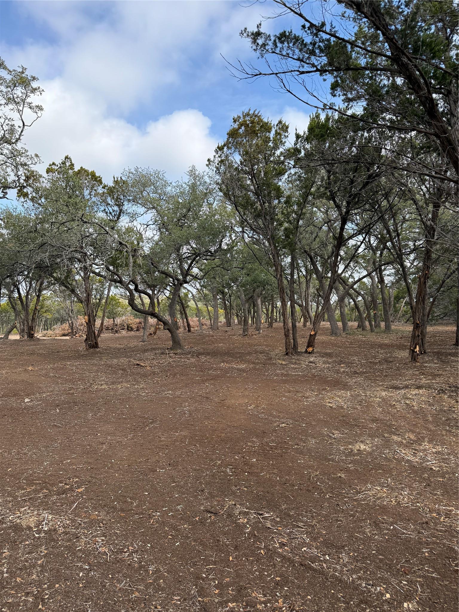 15 Acres Red Corral Ranch Road Wimberley TX 78676