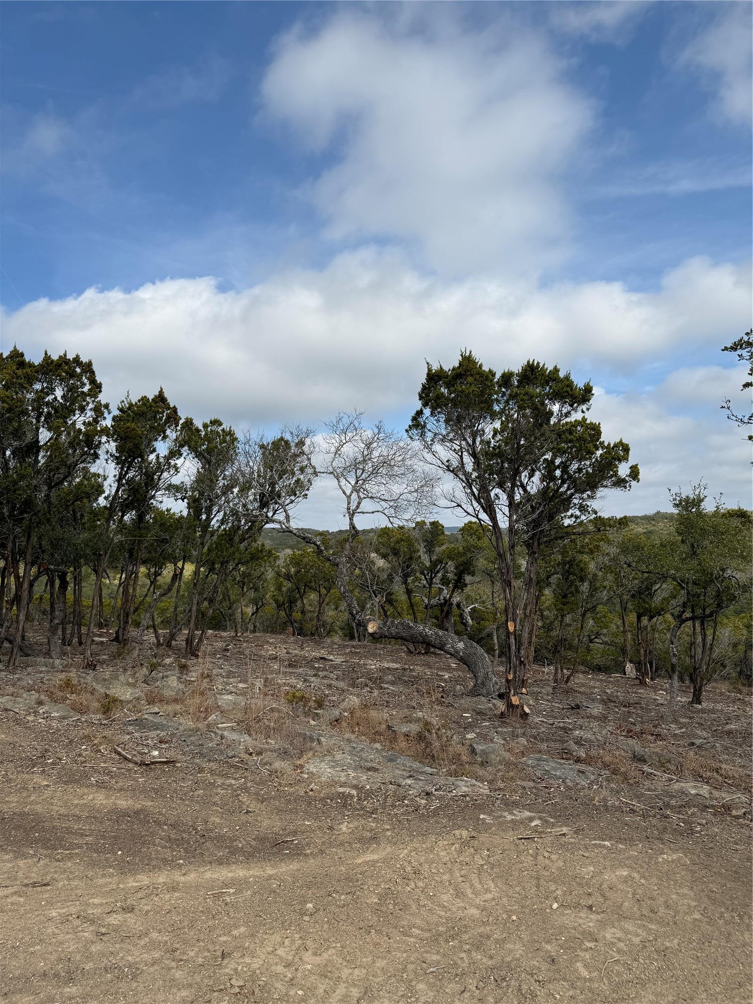 15 Acres Red Corral Ranch Road Wimberley TX 78676
