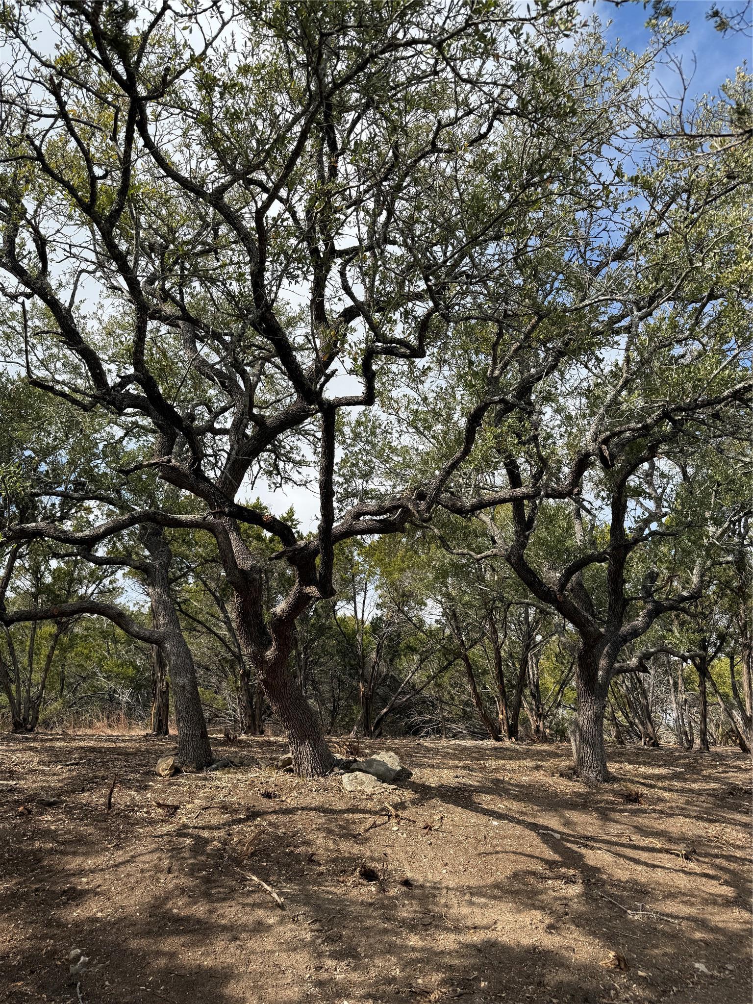 15 Acres Red Corral Ranch Road Wimberley TX 78676