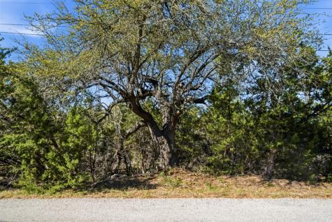 1038 Hidden Hills Drive Dripping Springs TX 78620