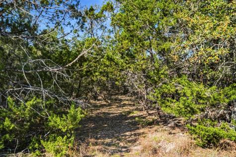 1038 Hidden Hills Drive Dripping Springs TX 78620
