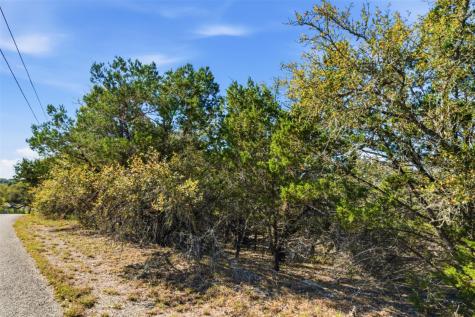 1038 Hidden Hills Drive Dripping Springs TX 78620