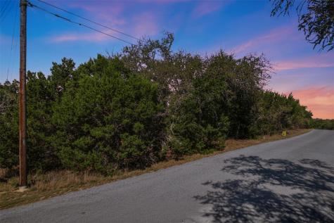1038 Hidden Hills Drive Dripping Springs TX 78620