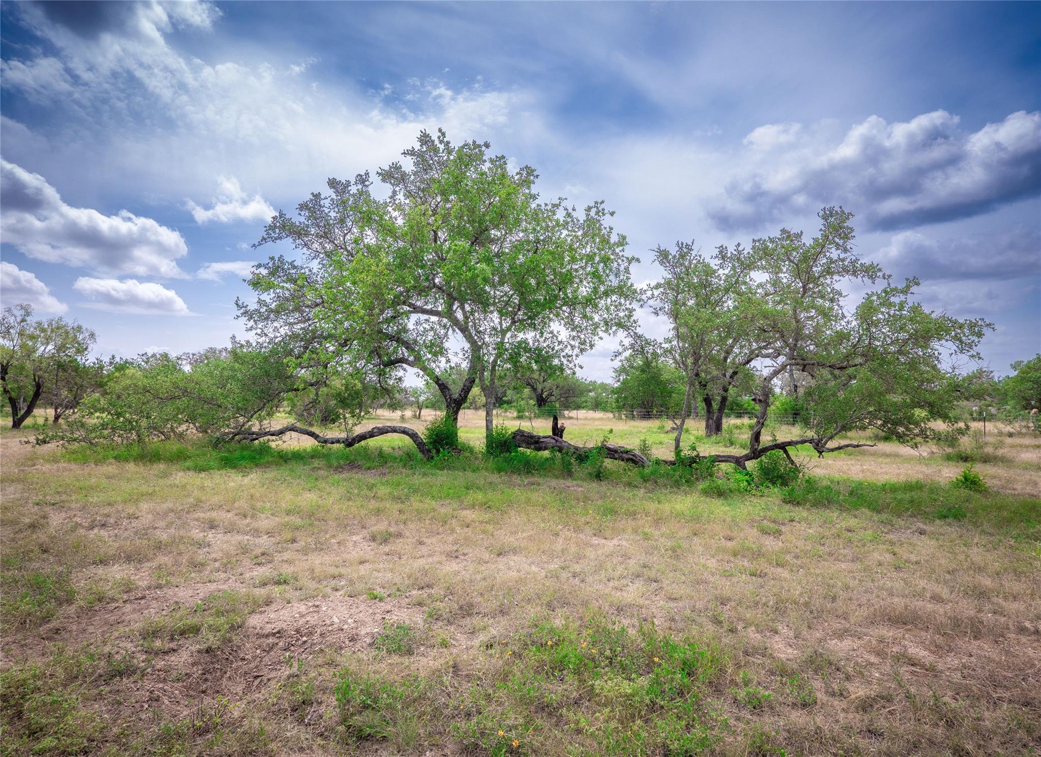 Tbd Winnie Smith Road Round Mountain TX 78663