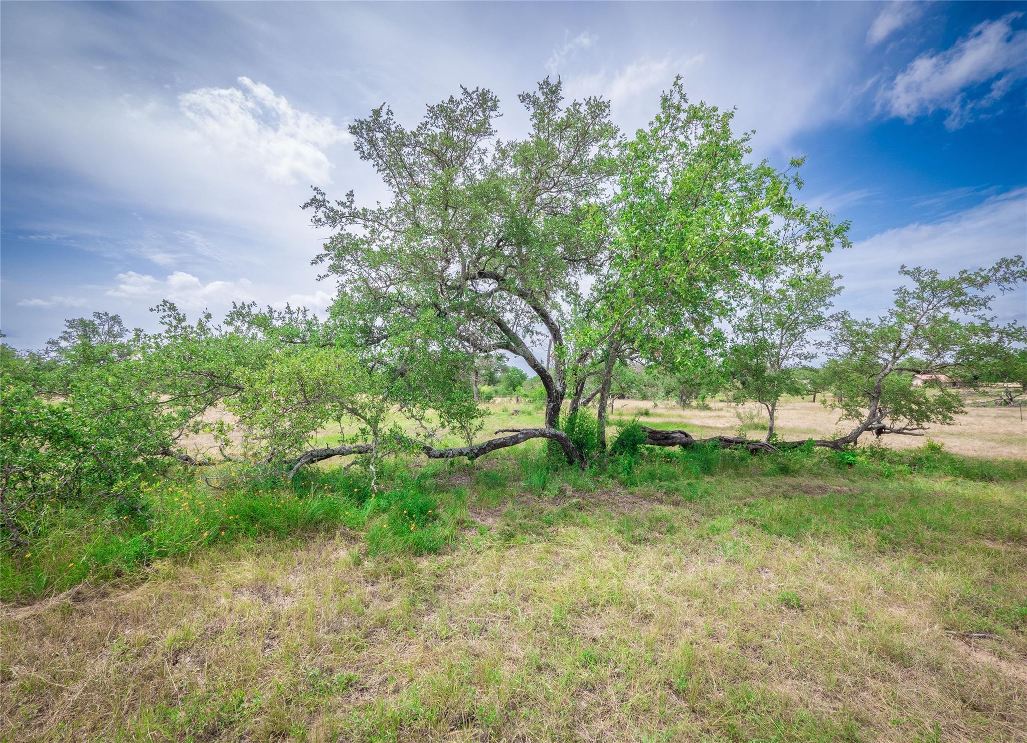 Tbd Winnie Smith Road Round Mountain TX 78663