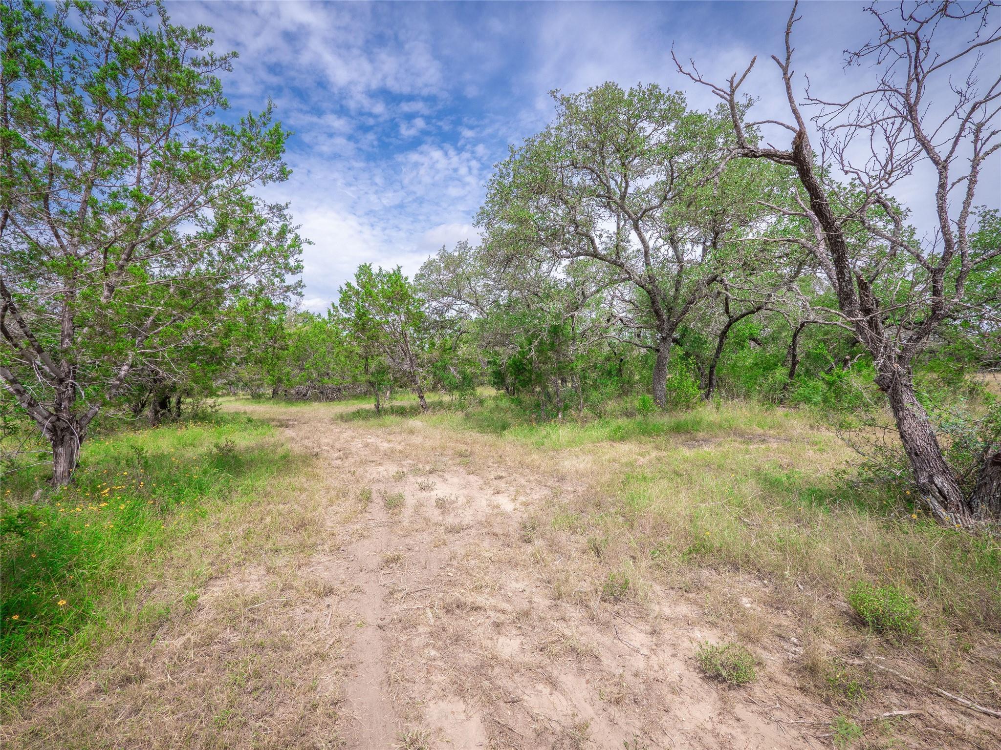 Tbd Winnie Smith Road Round Mountain TX 78663