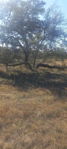 Tbd Winnie Smith Road Round Mountain TX 78663