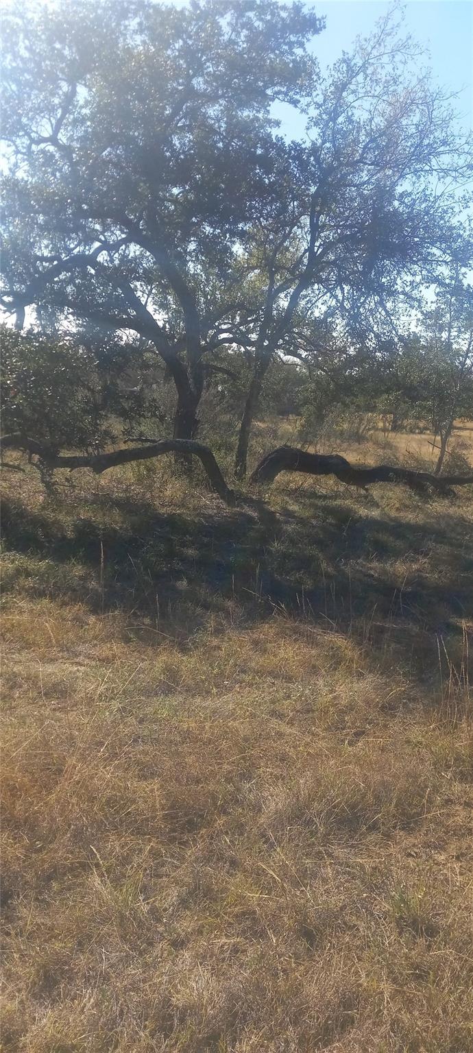 Tbd Winnie Smith Road Round Mountain TX 78663