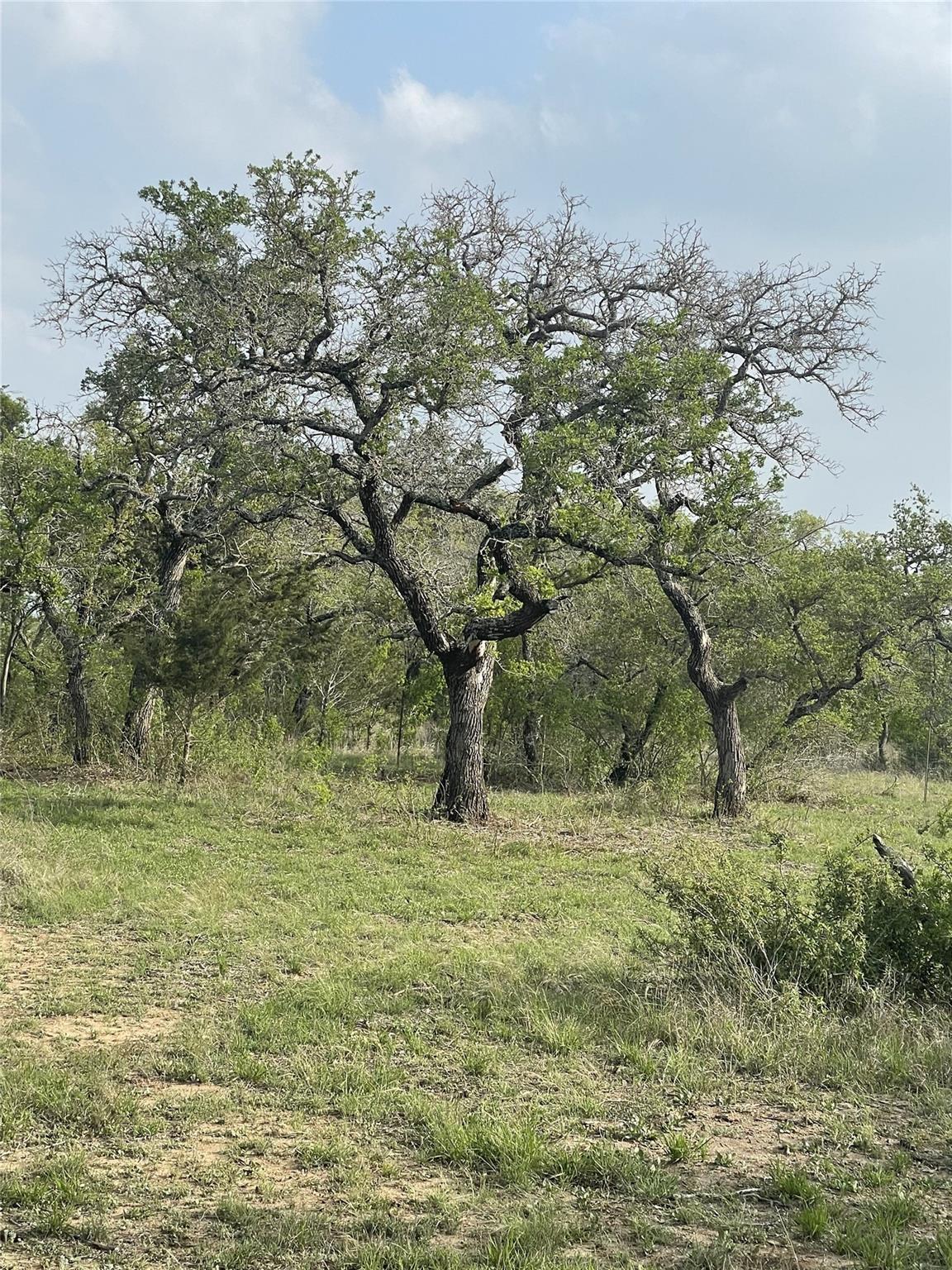 Tbd Winnie Smith Road Round Mountain TX 78663