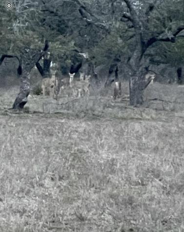 Tbd Winnie Smith Road Round Mountain TX 78663