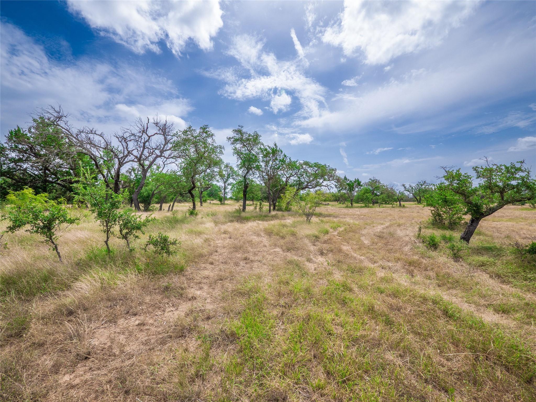 Tbd Winnie Smith Road Round Mountain TX 78663