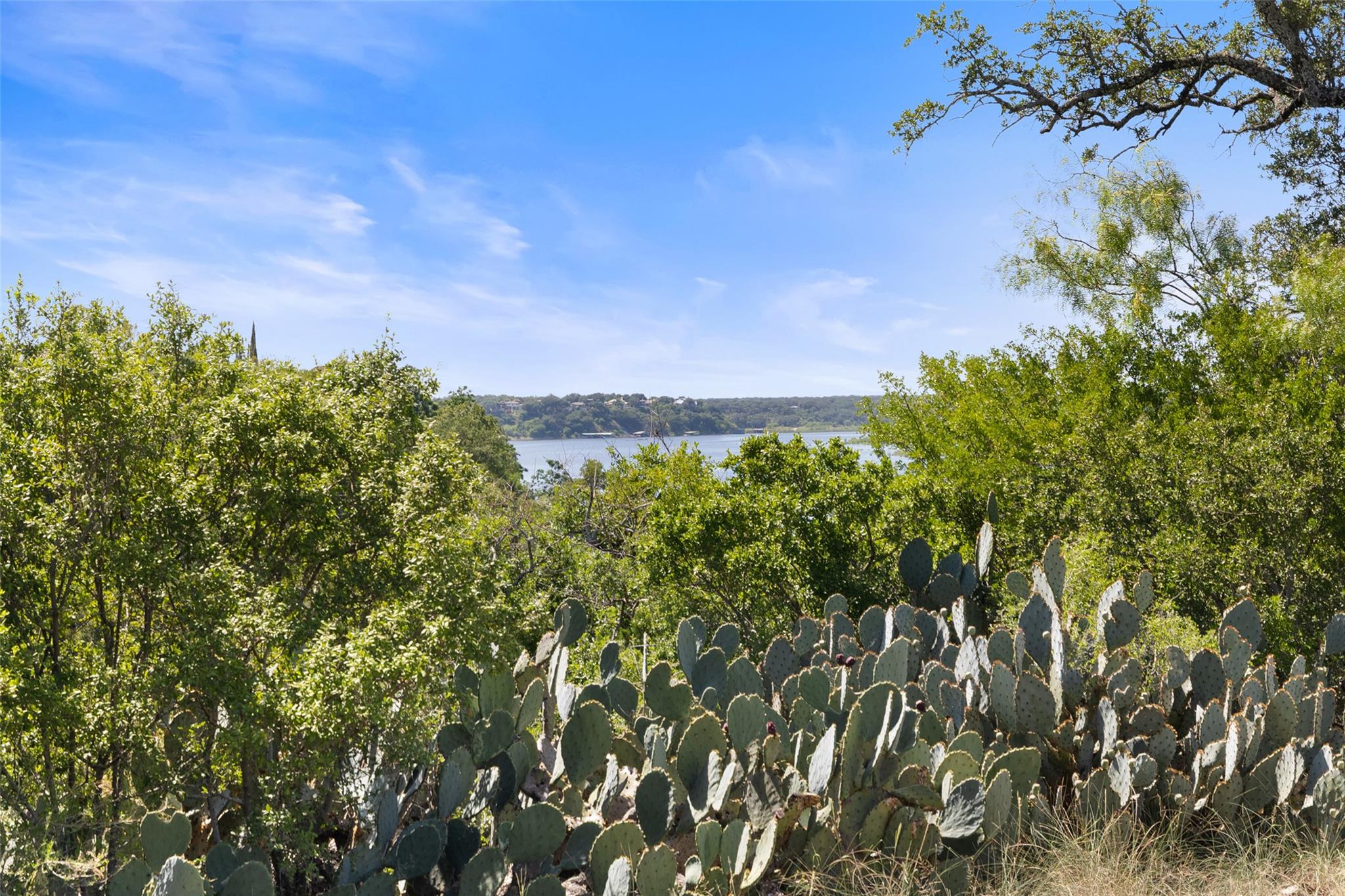 2928 Cliff Overlook Spicewood TX 78669