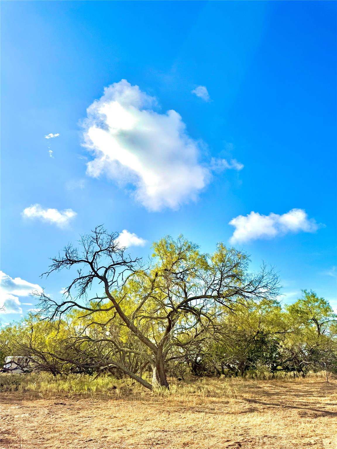6052 Tenney Creek Road Luling TX 78648