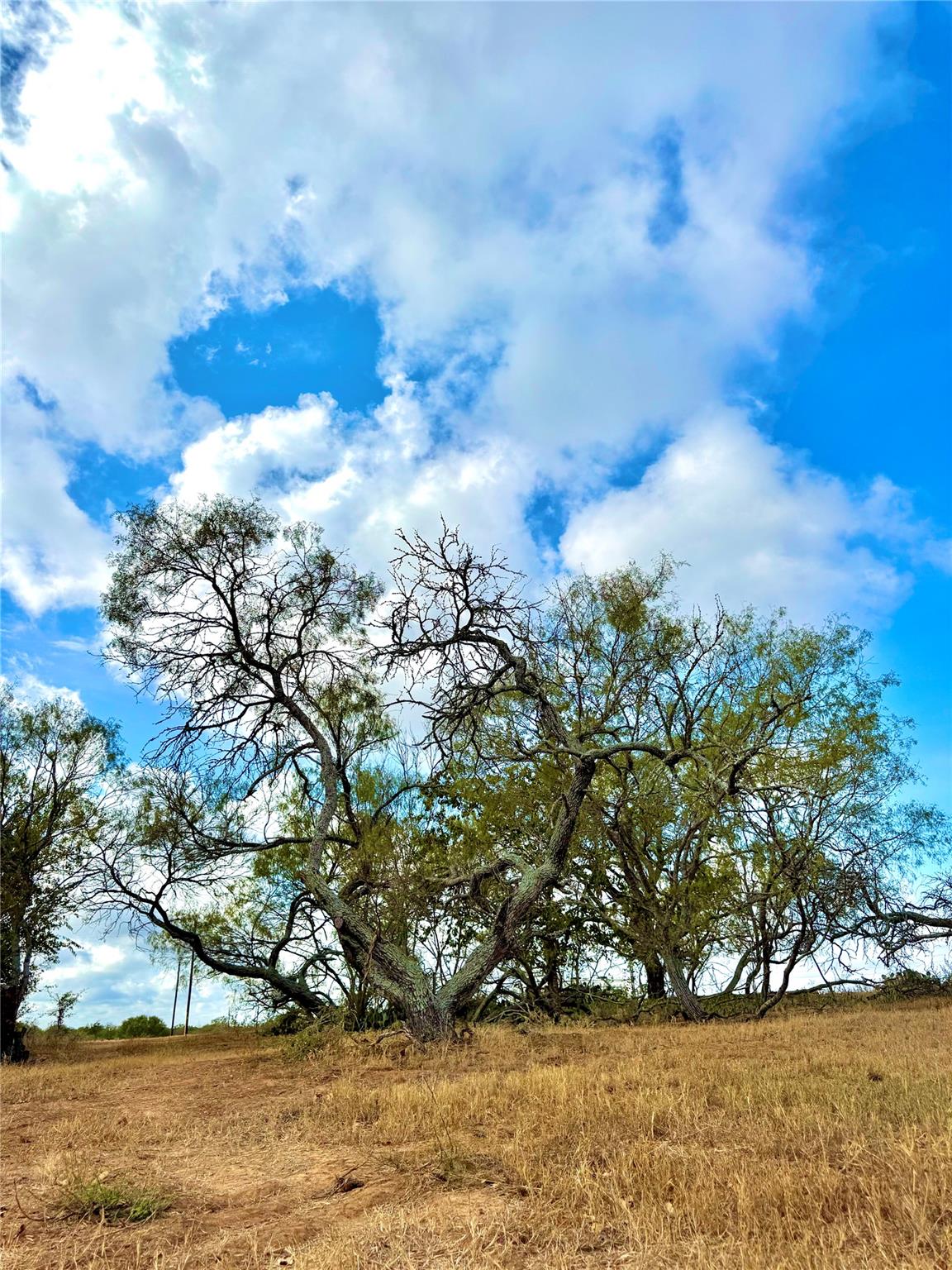 6052 Tenney Creek Road Luling TX 78648