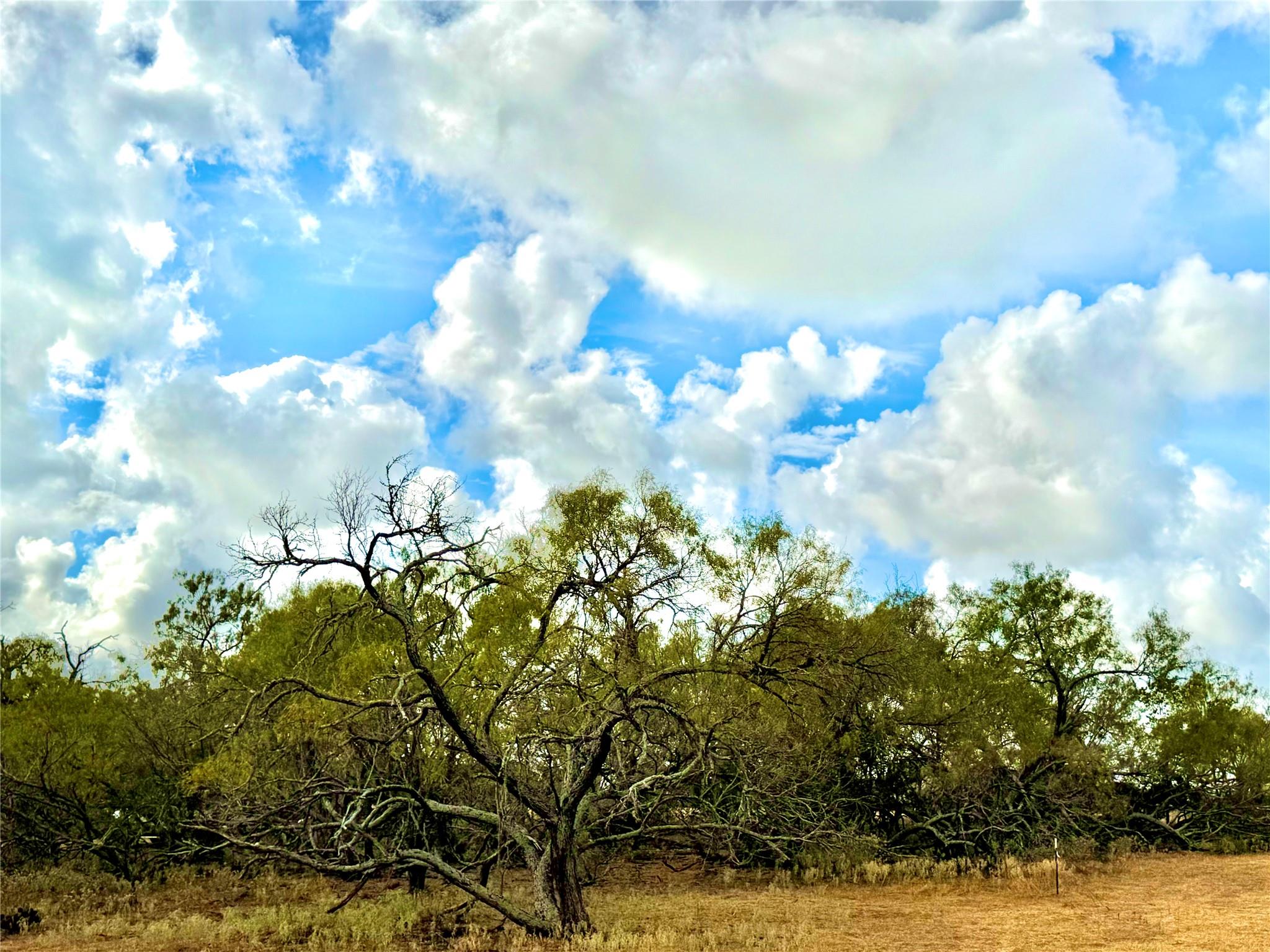 6052 Tenney Creek Road Luling TX 78648