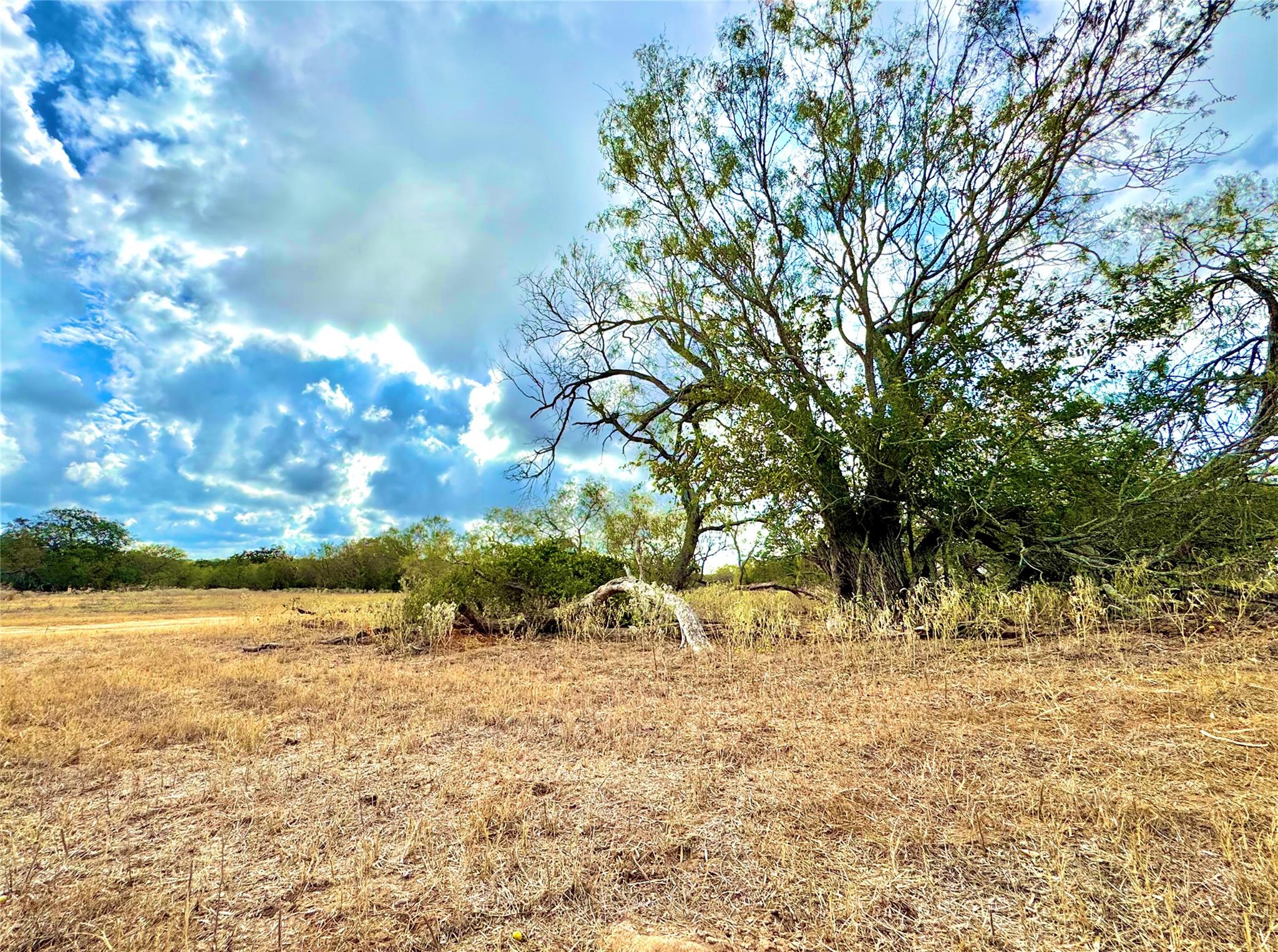 6052 Tenney Creek Road Luling TX 78648