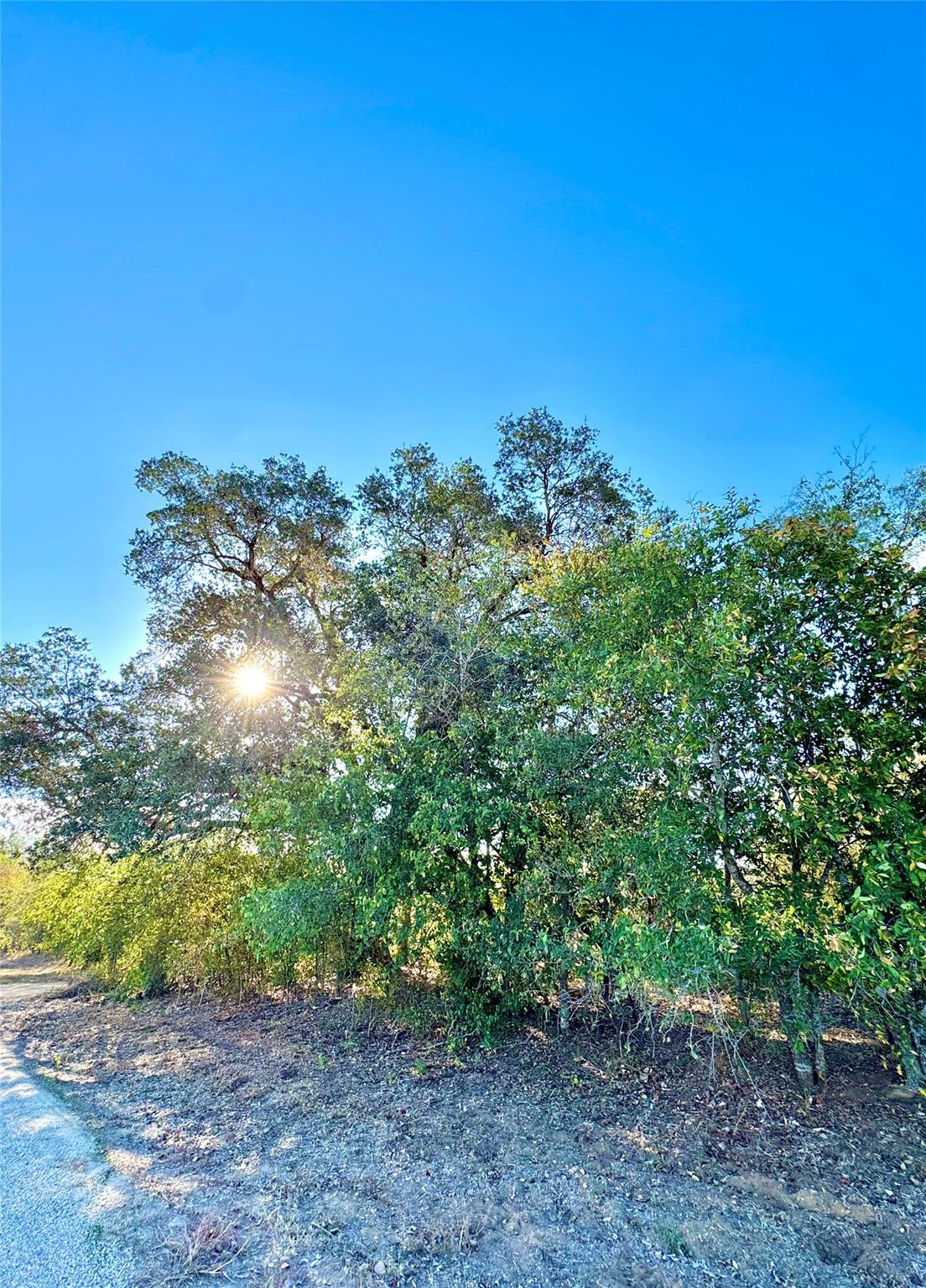 6052 Tenney Creek Road Luling TX 78648