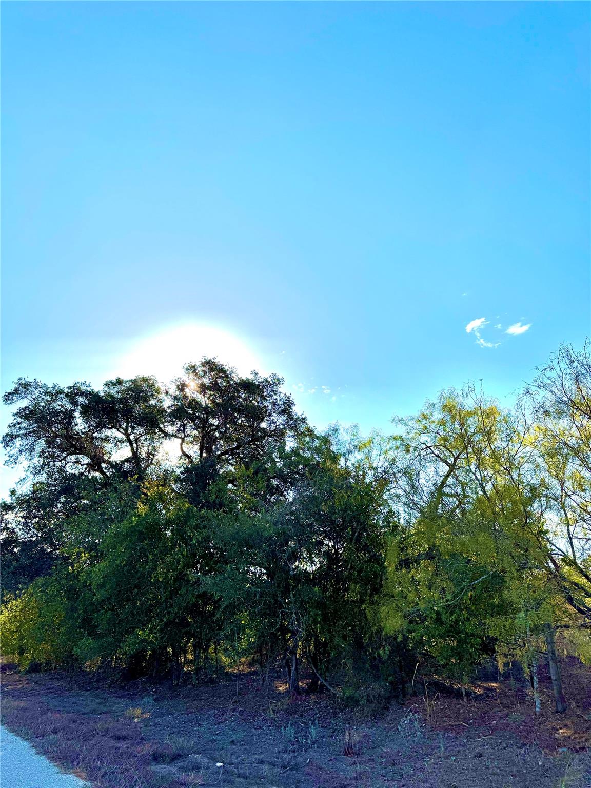 6052 Tenney Creek Road Luling TX 78648